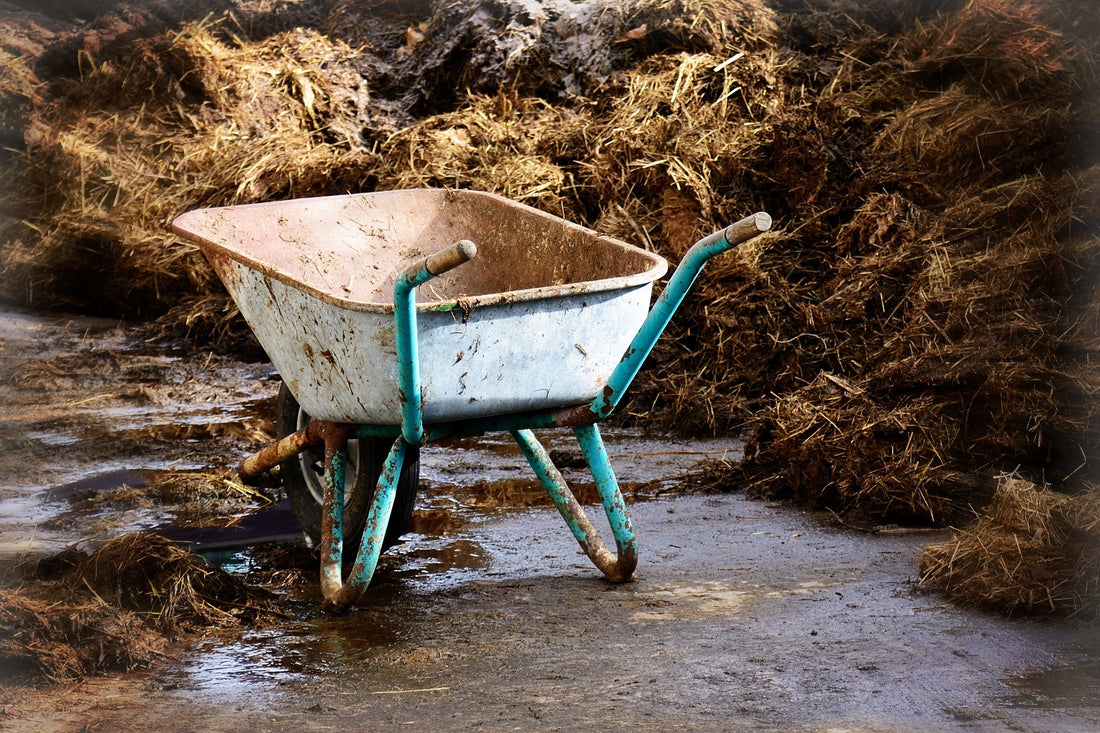 Adapting Farm Tools for Small-Scale Agriculture: A Global Imperative