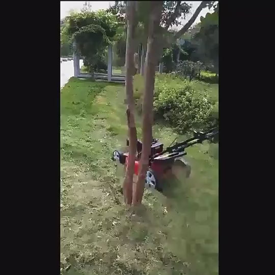 Video Of Briggs & Stratton Push Land Mower Agro-toolz Use To Cut Grass